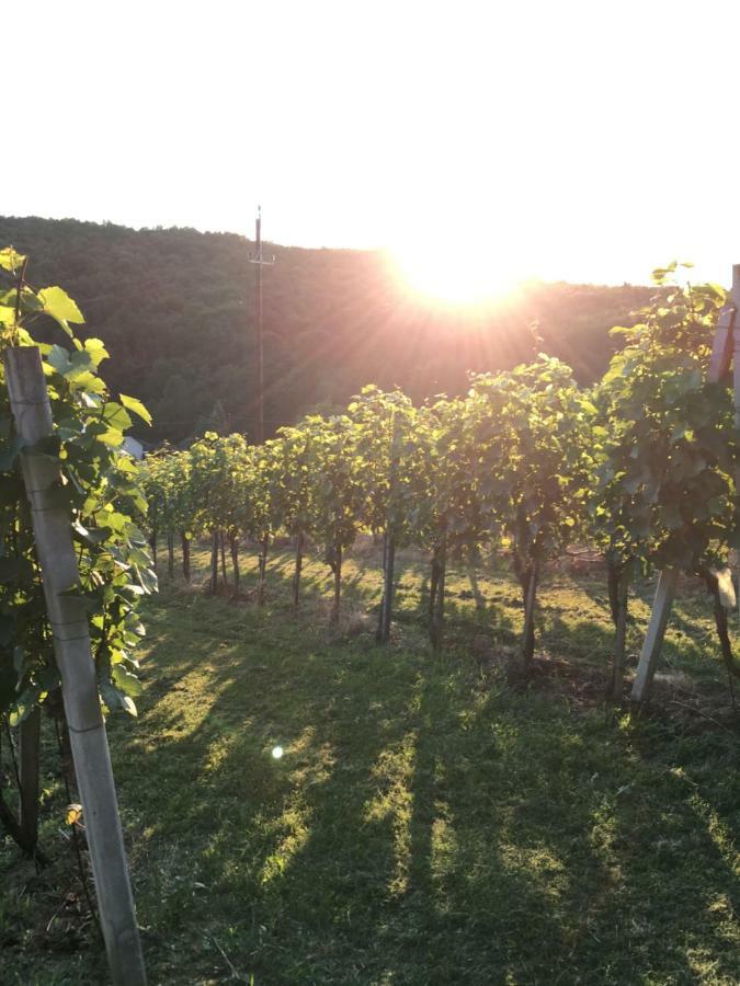 Riegler'S Buschenschank Fürstenfeld Εξωτερικό φωτογραφία